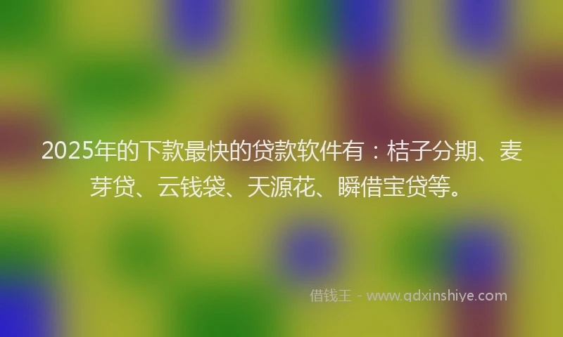 2025年的下款最快的贷款软件有：桔子分期、麦芽贷、云钱袋、天源花、瞬借宝贷等。