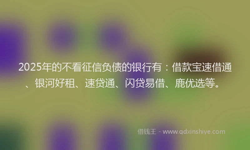 2025年的不看征信负债的银行有：借款宝速借通、银河好租、速贷通、闪贷易借、鹿优选等。