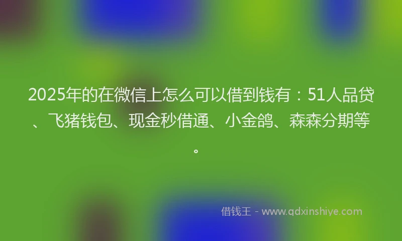 2025年的在微信上怎么可以借到钱有：51人品贷、飞猪钱包、现金秒借通、小金鸽、森森分期等。