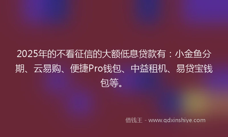 2025年的不看征信的大额低息贷款有：小金鱼分期、云易购、便捷Pro钱包、中益租机、易贷宝钱包等。