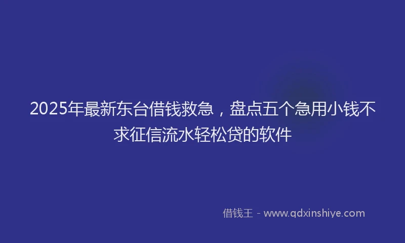 2025年最新东台借钱救急，盘点五个急用小钱不求征信流水轻松贷的软件