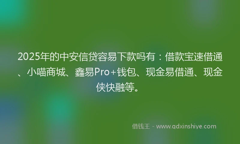 2025年的中安信贷容易下款吗有：借款宝速借通、小喵商城、鑫易Pro+钱包、现金易借通、现金侠快融等。