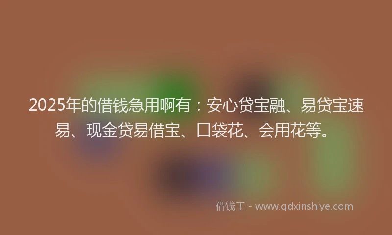 2025年的借钱急用啊有：安心贷宝融、易贷宝速易、现金贷易借宝、口袋花、会用花等。