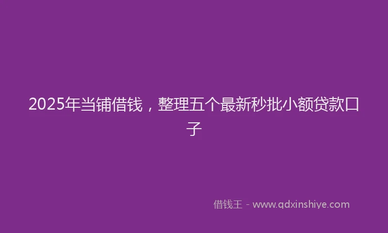 2025年当铺借钱，整理五个最新秒批小额贷款口子