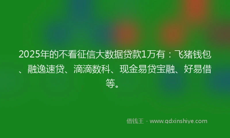 2025年的不看征信大数据贷款1万有：飞猪钱包、融逸速贷、滴滴数科、现金易贷宝融、好易借等。