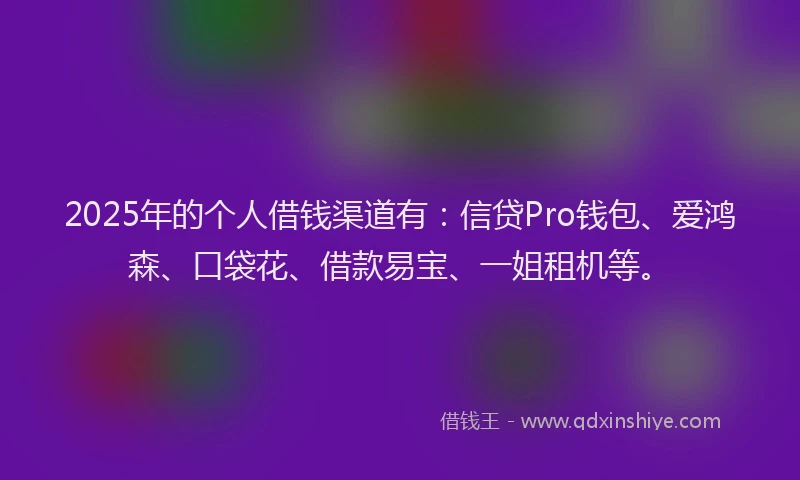 2025年的个人借钱渠道有：信贷Pro钱包、爱鸿森、口袋花、借款易宝、一姐租机等。