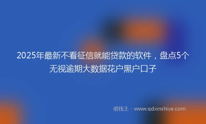 2025年最新不看征信就能贷款的软件，盘点5个无视逾期大数据花户黑户口子