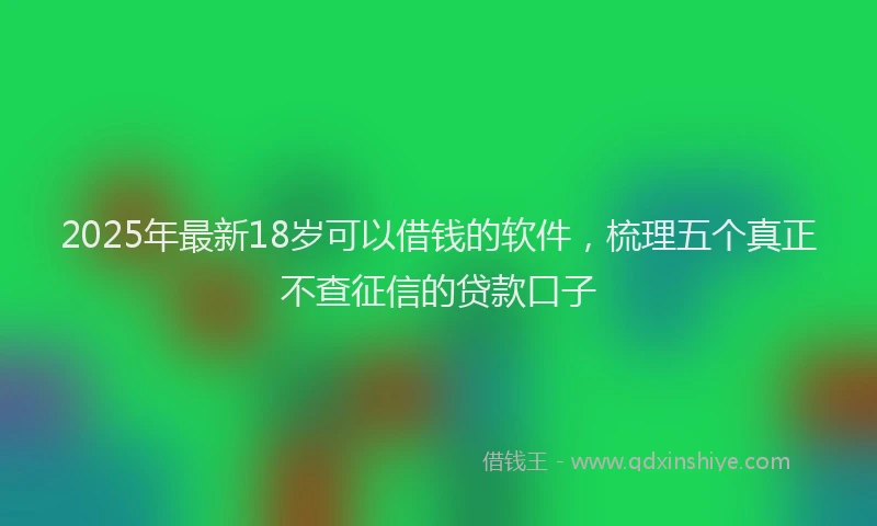 2025年最新18岁可以借钱的软件，梳理五个真正不查征信的贷款口子