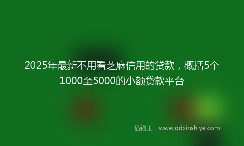 2025年最新不用看芝麻信用的贷款，概括5个1000至5000的小额贷款平台