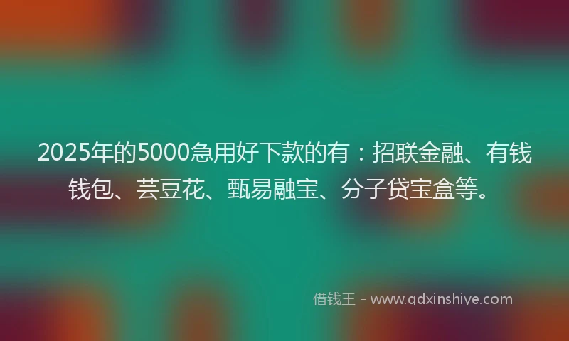 2025年的5000急用好下款的有：招联金融、有钱钱包、芸豆花、甄易融宝、分子贷宝盒等。