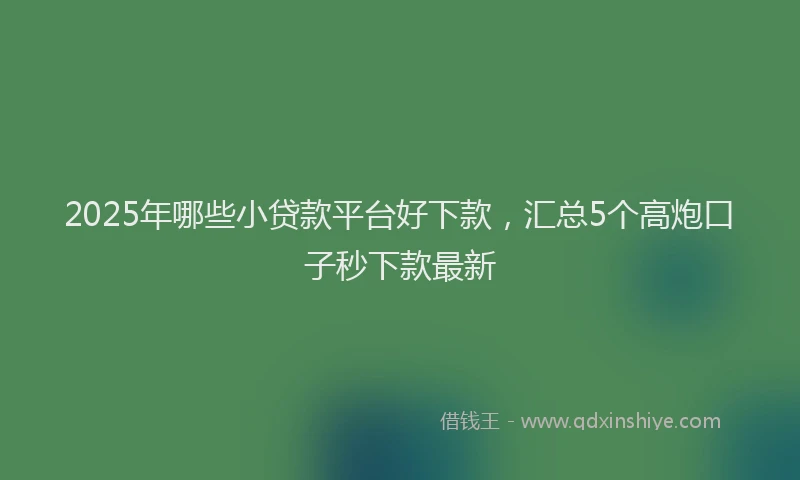 2025年哪些小贷款平台好下款，汇总5个高炮口子秒下款最新