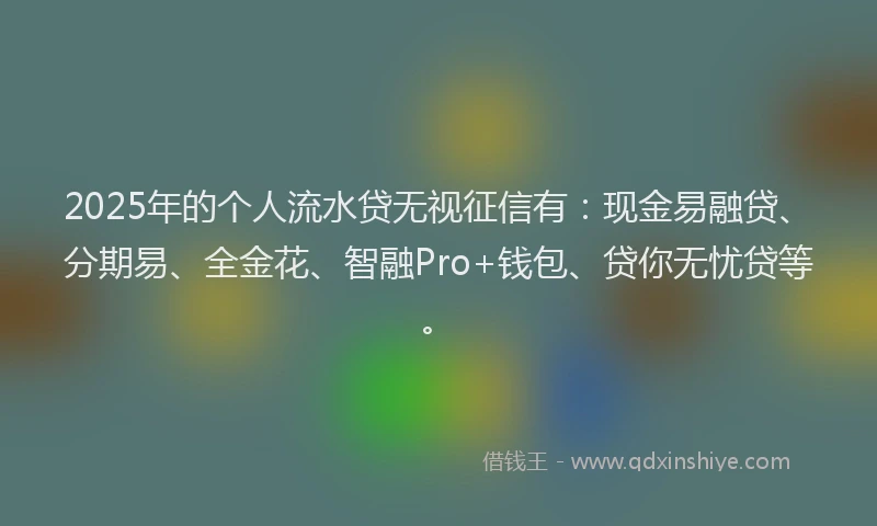 2025年的个人流水贷无视征信有：现金易融贷、分期易、全金花、智融Pro+钱包、贷你无忧贷等。