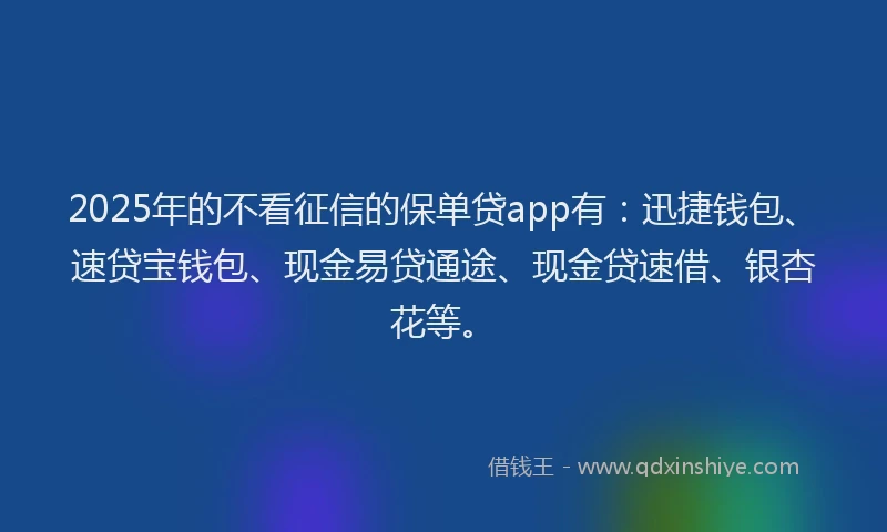 2025年的不看征信的保单贷app有：迅捷钱包、速贷宝钱包、现金易贷通途、现金贷速借、银杏花等。