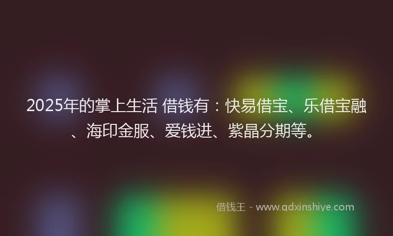 2025年的掌上生活 借钱有：快易借宝、乐借宝融、海印金服、爱钱进、紫晶分期等。