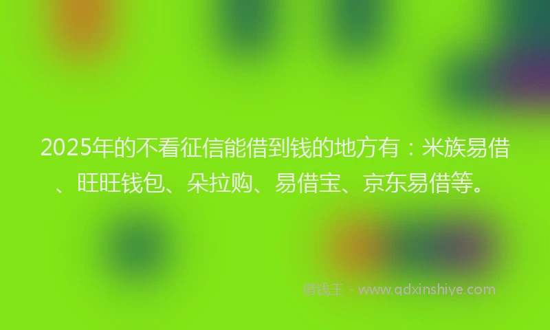 2025年的不看征信能借到钱的地方有：米族易借、旺旺钱包、朵拉购、易借宝、京东易借等。