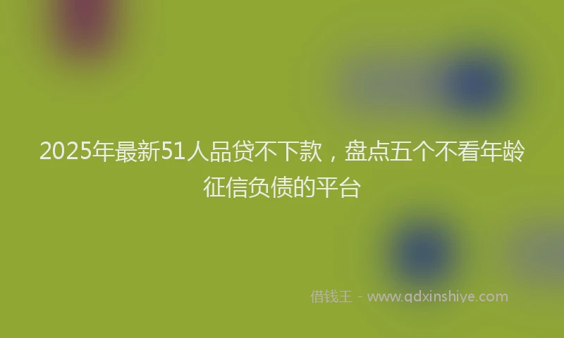 2025年最新51人品贷不下款，盘点五个不看年龄征信负债的平台