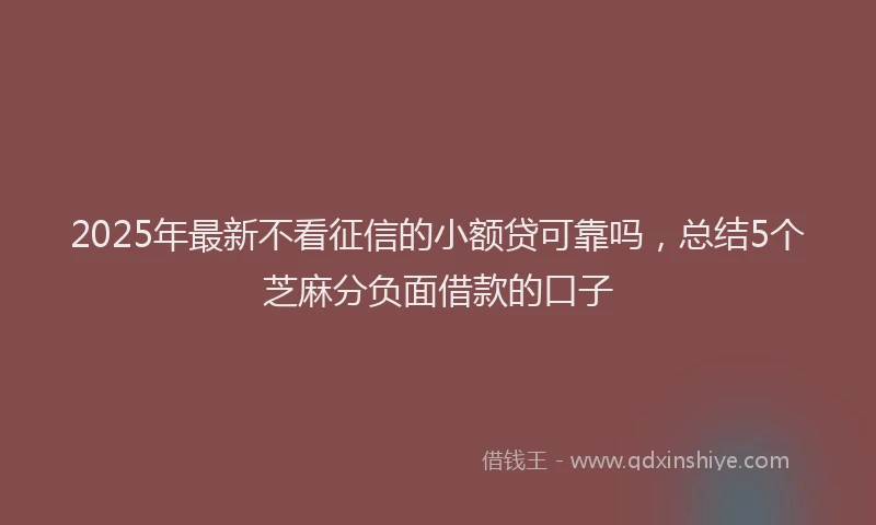2025年最新不看征信的小额贷可靠吗，总结5个芝麻分负面借款的口子