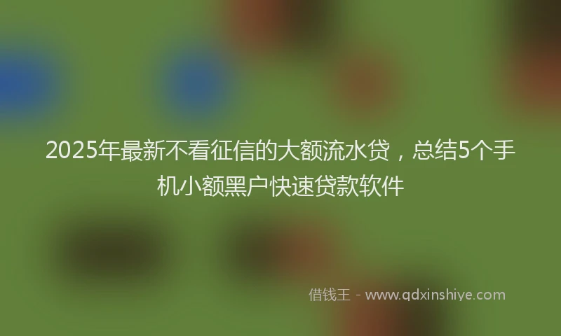 2025年最新不看征信的大额流水贷，总结5个手机小额黑户快速贷款软件
