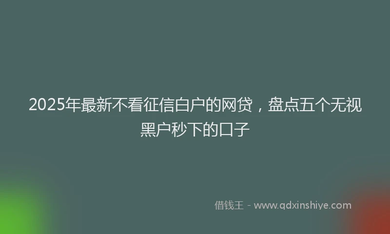 2025年最新不看征信白户的网贷，盘点五个无视黑户秒下的口子