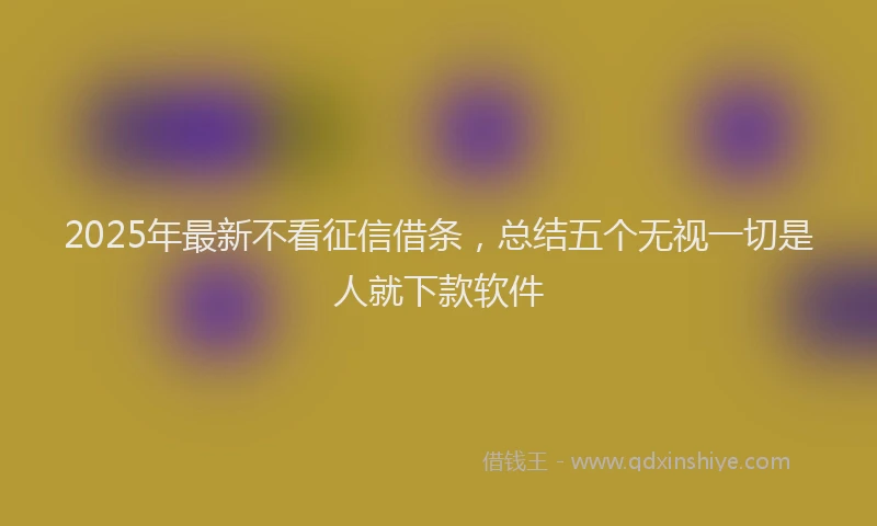2025年最新不看征信借条，总结五个无视一切是人就下款软件