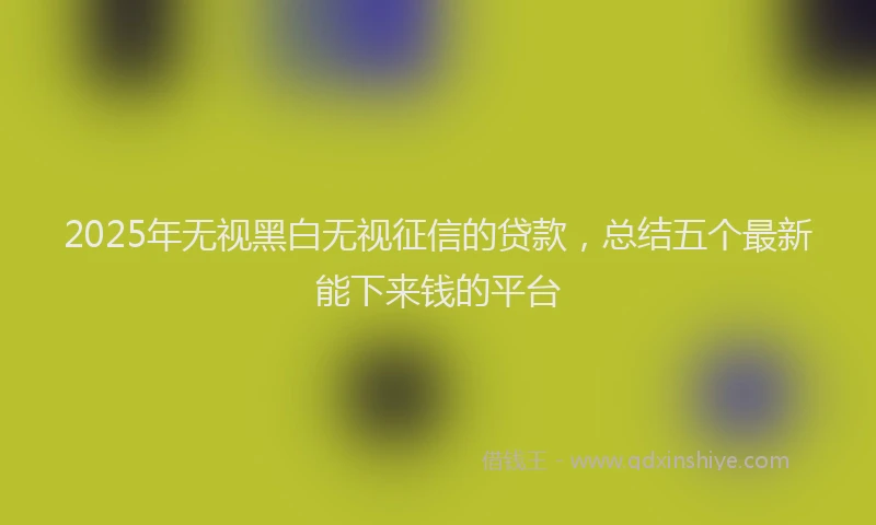 2025年无视黑白无视征信的贷款，总结五个最新能下来钱的平台