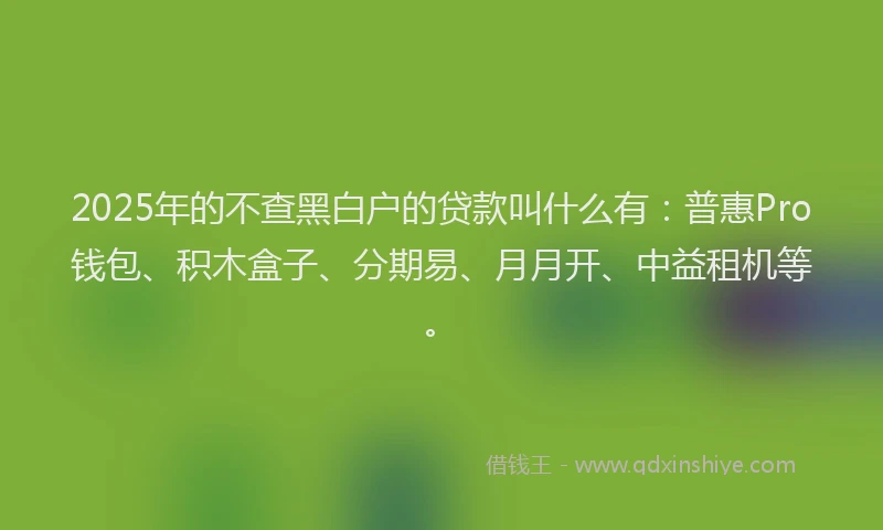 2025年的不查黑白户的贷款叫什么有：普惠Pro钱包、积木盒子、分期易、月月开、中益租机等。