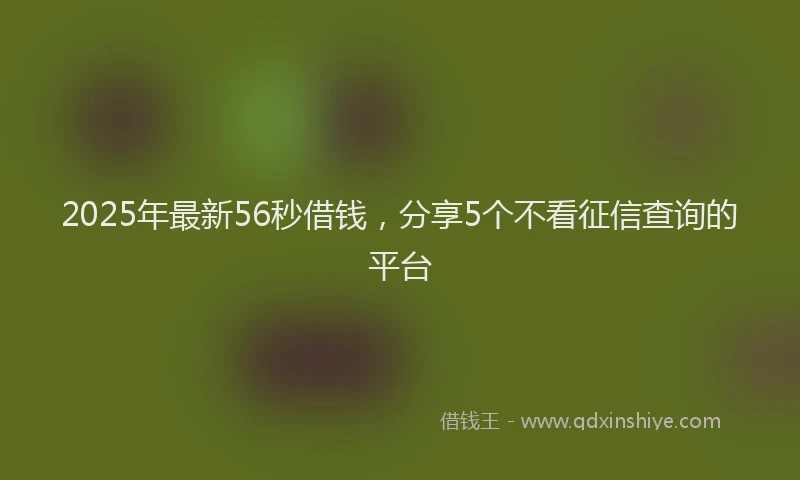 2025年最新56秒借钱，分享5个不看征信查询的平台