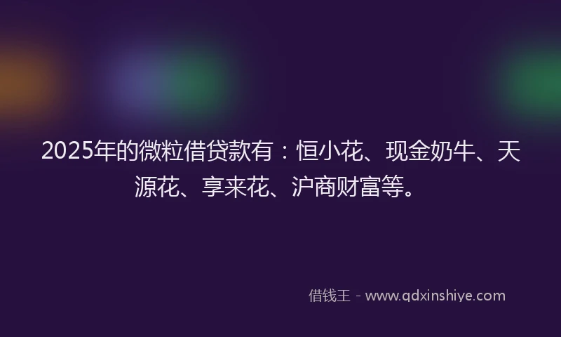 2025年的微粒借贷款有：恒小花、现金奶牛、天源花、享来花、沪商财富等。