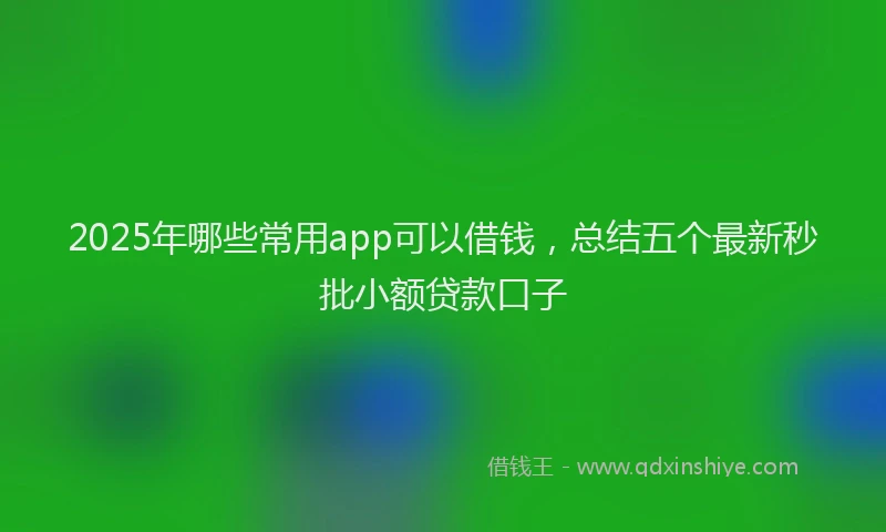 2025年哪些常用app可以借钱，总结五个最新秒批小额贷款口子