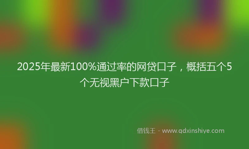 2025年最新100%通过率的网贷口子，概括五个5个无视黑户下款口子