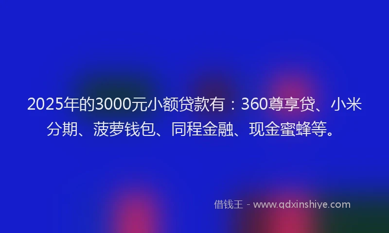 2025年的3000元小额贷款有：360尊享贷、小米分期、菠萝钱包、同程金融、现金蜜蜂等。