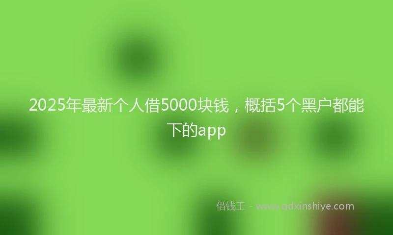 2025年最新个人借5000块钱，概括5个黑户都能下的app