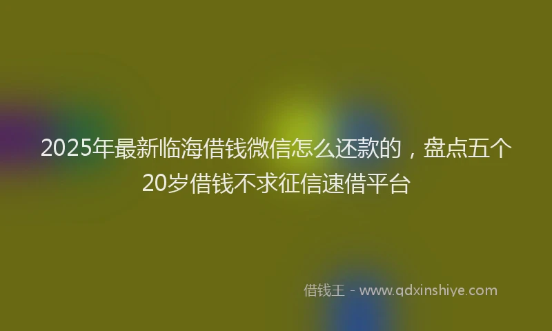 2025年最新临海借钱微信怎么还款的，盘点五个20岁借钱不求征信速借平台