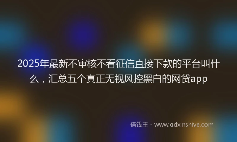 2025年最新不审核不看征信直接下款的平台叫什么，汇总五个真正无视风控黑白的网贷app