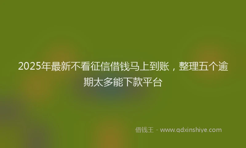 2025年最新不看征信借钱马上到账，整理五个逾期太多能下款平台