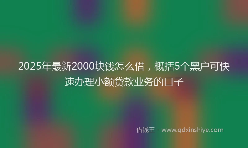 2025年最新2000块钱怎么借，概括5个黑户可快速办理小额贷款业务的口子