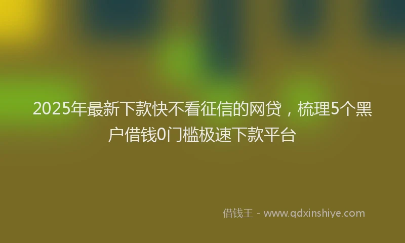 2025年最新下款快不看征信的网贷，梳理5个黑户借钱0门槛极速下款平台