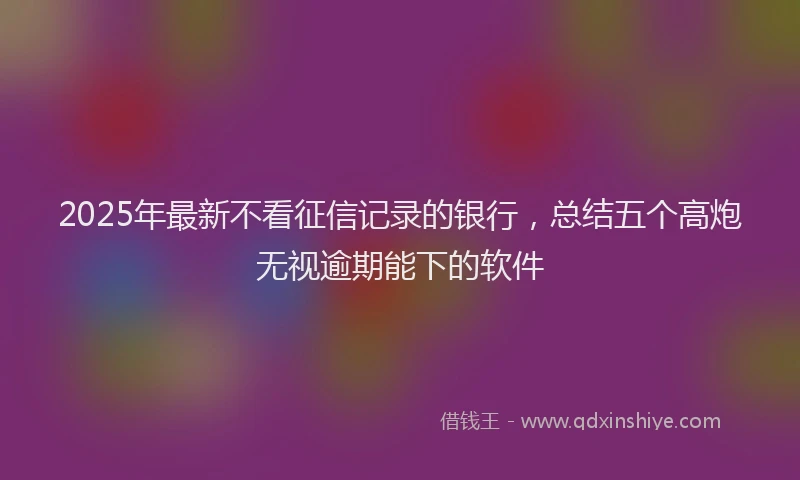 2025年最新不看征信记录的银行，总结五个高炮无视逾期能下的软件