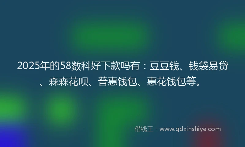 2025年的58数科好下款吗有：豆豆钱、钱袋易贷、森森花呗、普惠钱包、惠花钱包等。