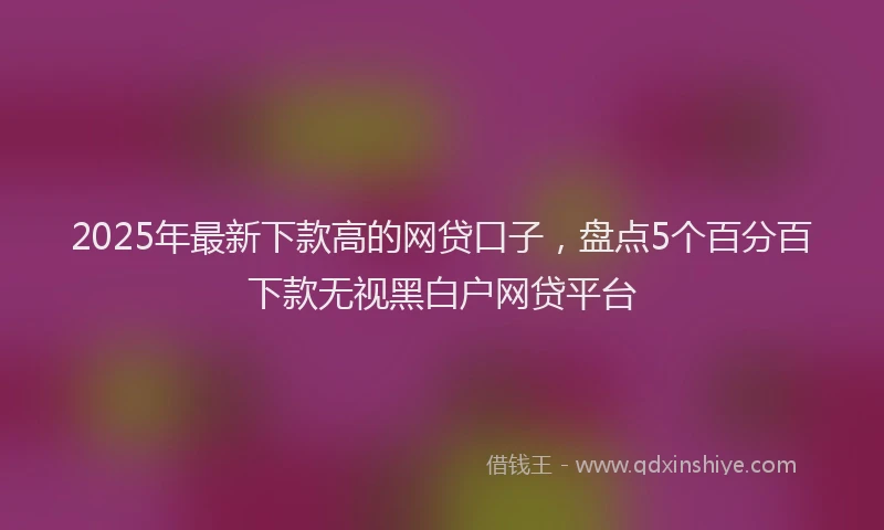 2025年最新下款高的网贷口子，盘点5个百分百下款无视黑白户网贷平台