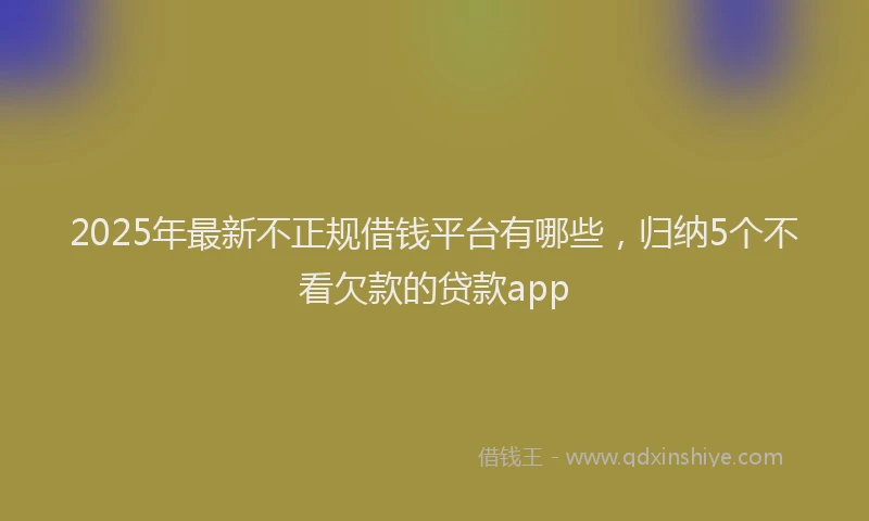 2025年最新不正规借钱平台有哪些，归纳5个不看欠款的贷款app