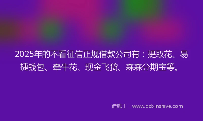 2025年的不看征信正规借款公司有：提取花、易捷钱包、牵牛花、现金飞贷、森森分期宝等。