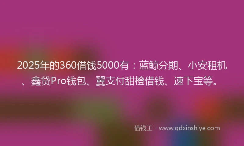2025年的360借钱5000有：蓝鲸分期、小安租机、鑫贷Pro钱包、翼支付甜橙借钱、速下宝等。