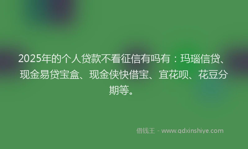 2025年的个人贷款不看征信有吗有：玛瑙信贷、现金易贷宝盒、现金侠快借宝、宜花呗、花豆分期等。