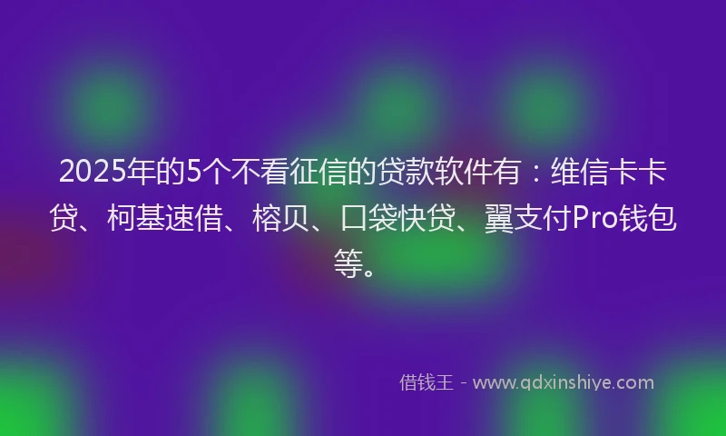 2025年的5个不看征信的贷款软件有：维信卡卡贷、柯基速借、榕贝、口袋快贷、翼支付Pro钱包等。