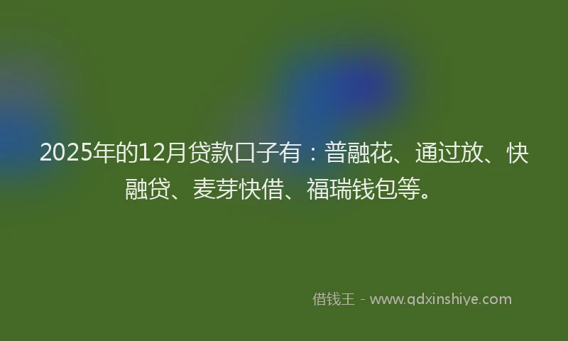 2025年的12月贷款口子有：普融花、通过放、快融贷、麦芽快借、福瑞钱包等。