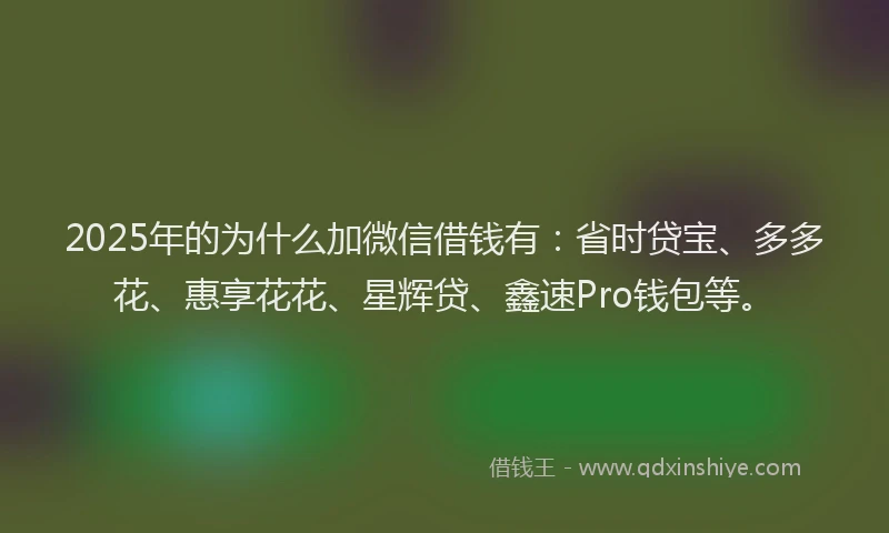 2025年的为什么加微信借钱有：省时贷宝、多多花、惠享花花、星辉贷、鑫速Pro钱包等。