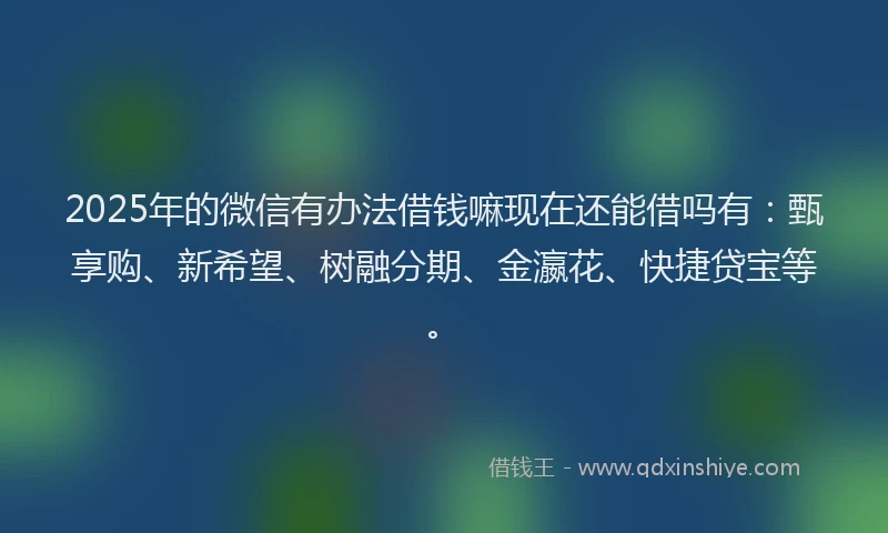 2025年的微信有办法借钱嘛现在还能借吗有：甄享购、新希望、树融分期、金瀛花、快捷贷宝等。