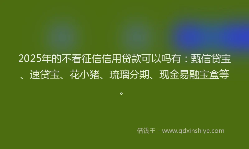 2025年的不看征信信用贷款可以吗有：甄信贷宝、速贷宝、花小猪、琉璃分期、现金易融宝盒等。