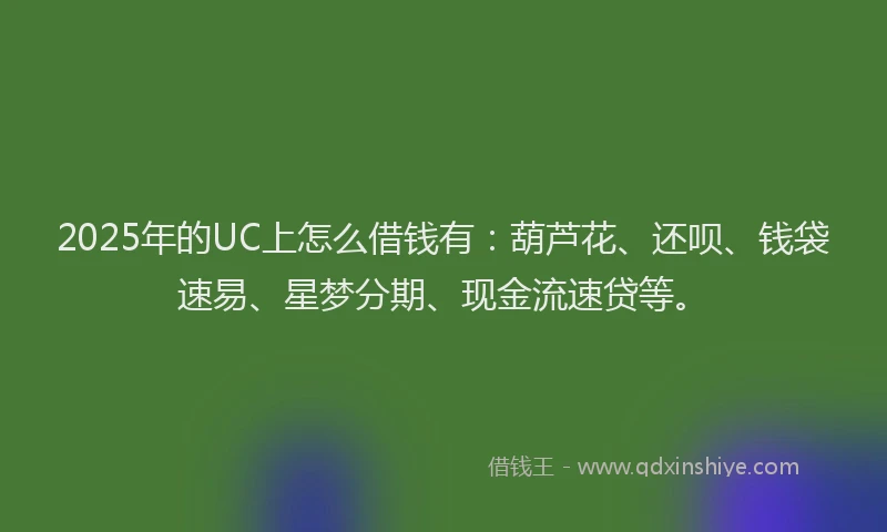 2025年的UC上怎么借钱有：葫芦花、还呗、钱袋速易、星梦分期、现金流速贷等。